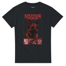 13e7c825-8f3b-49ad-9c0f-44592b3e45d1