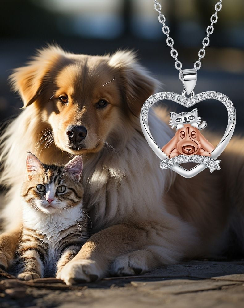 Colar Amor Cão e Gato