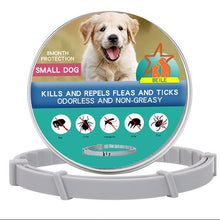 Coleira Repelente Anti-Pulgas para Pet